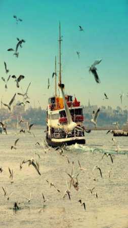 İstanbul Wallpaper