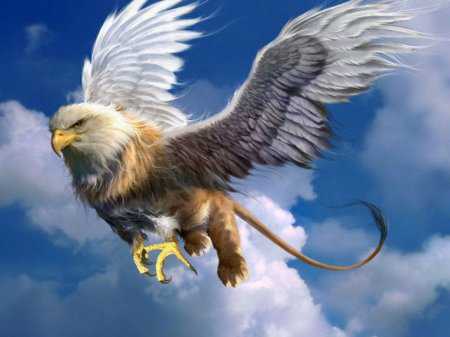 Doğa Resimleri HD - Işık Oyunları