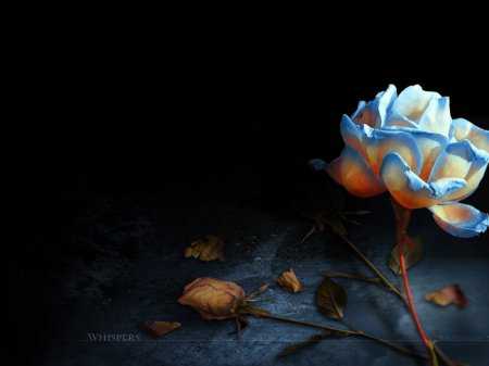 Doğa Resimleri HD - Işık Oyunları