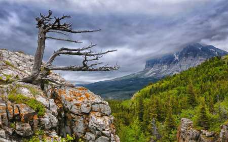 HD Doğa Fotoğrafları - Masaüstü Duvar Kağıtları