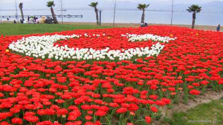 Türk Bayrağımız HD Resimleri (Orjinal Kendi Çekimlerim)