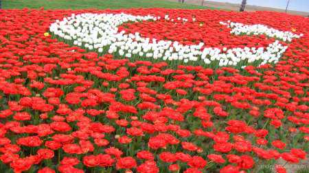 Türk Bayrağımız HD Resimleri (Orjinal Kendi Çekimlerim)