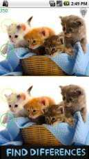 Resimlerdeki Farkları Bul